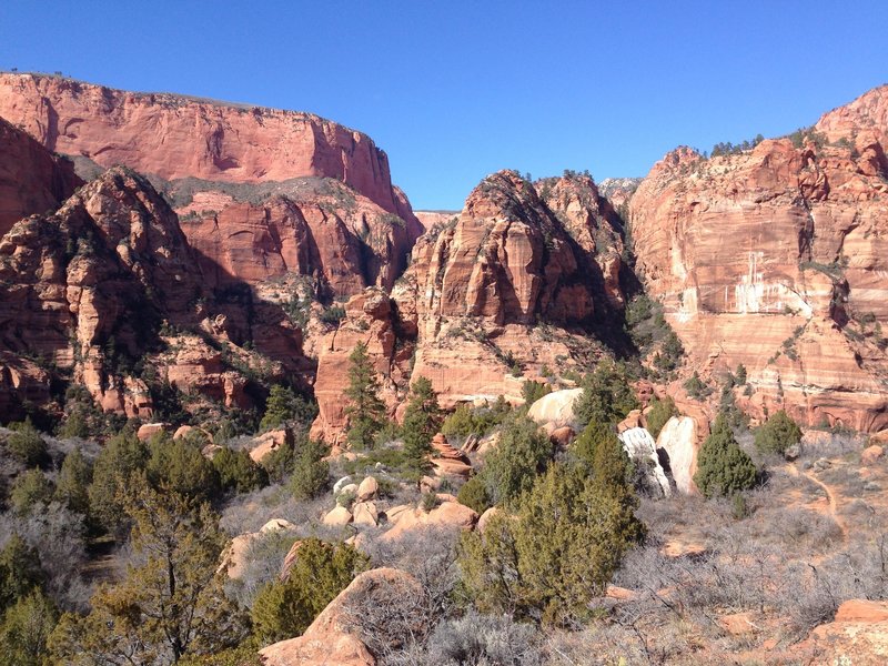 Looking across the valley and up the side canyon that leads to Kolob Arch.