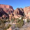 Looking across the valley and up the side canyon that leads to Kolob Arch.