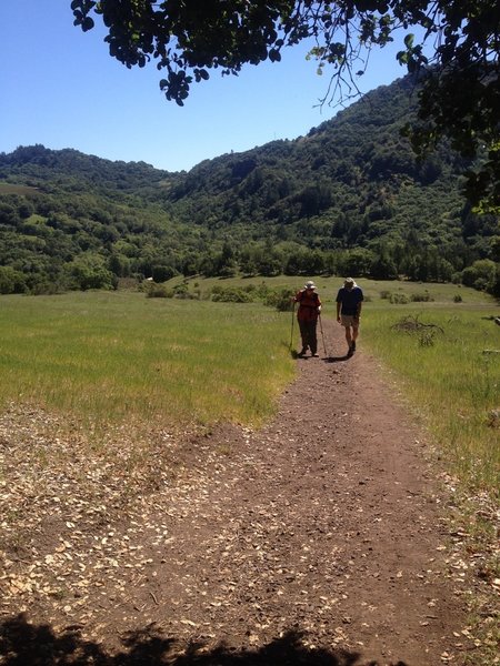 Looking back at the meadows on Lower Bald Mountain Trail