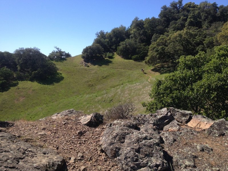 Nice views on the Vista Trail