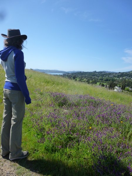 Great views from the Oak Ridge Trail