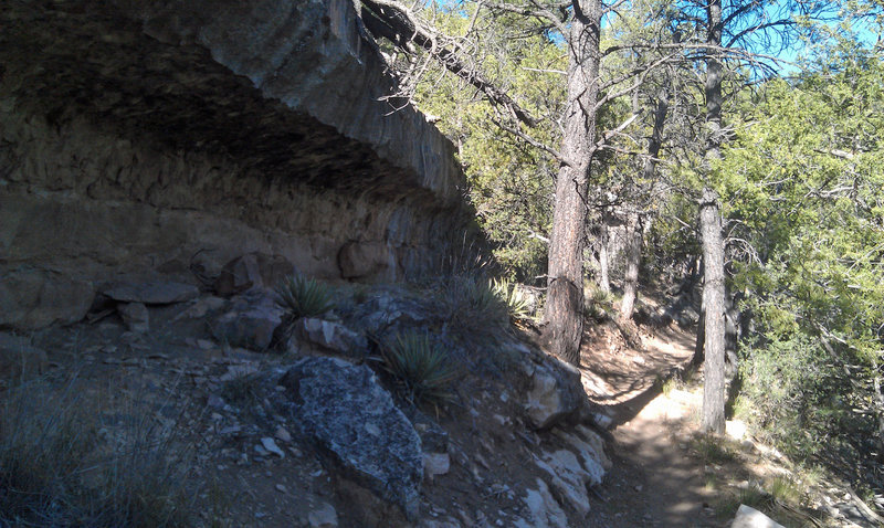 Cool undercut cliff feature as you head into one of Walnut Canyon's tributaries.