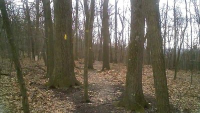 Rachel Carson Trail as you get off the Red Blaze