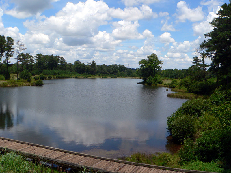 Alexanders Lake from the Rockdale River Trail