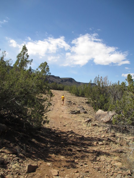 The old jeep track