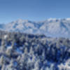 A frosty view of Pikes Peak from Palmer Park.