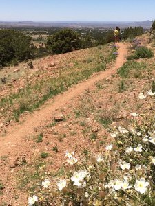 Arroyo Hondo Hiking Trail, Santa Fe, New Mexico