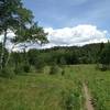 The meadow just after the Anaerobic Nightmare trail connection