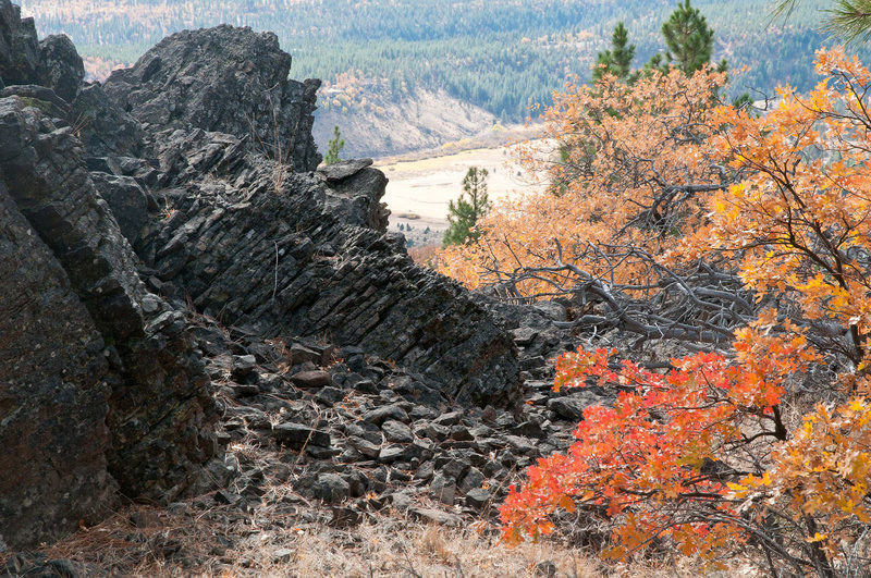 Great fall day on the EZ UP Trail