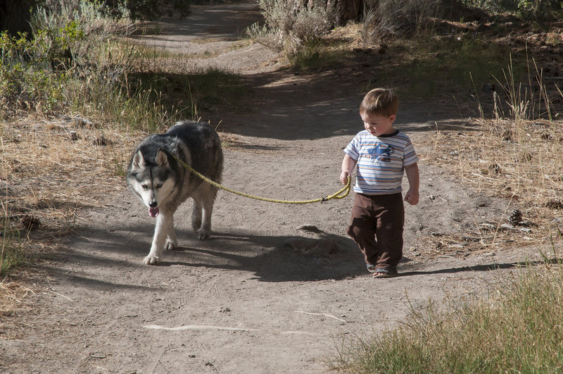 On the Bagwell Creek Trail