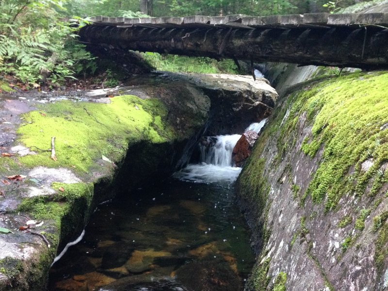 A bridge crossing over a stream at the beginning of the Johannsen trail.