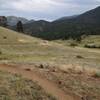 A nice open view halfway through the Walker Loop.