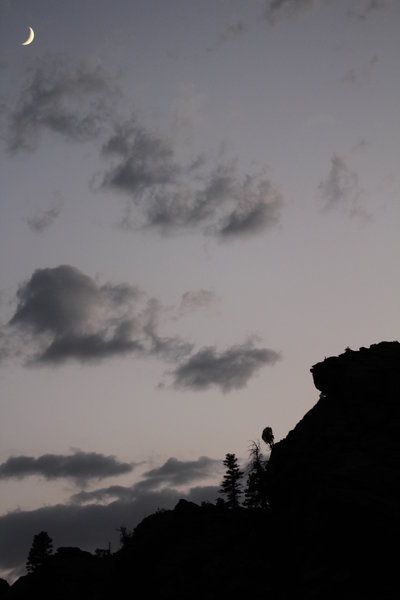 Evening silhouette along the Walker Ranch Trail