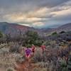 A chilly evening run up to the top of the Boy Scout Trail. Photo by Ann Driggers