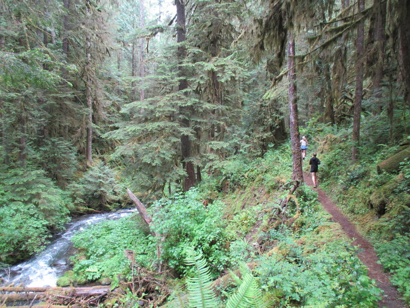 Runners returning to the trailhead after a few miles out on the Little River Trail.