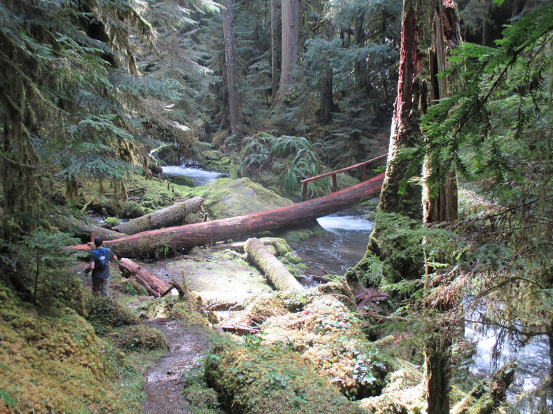 The Backcountry Horsemen completed this bridge in late 2014. This is about 5K from the lower trailhead. Good spot for lunch before heading back.  Little River Trail