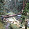 The Backcountry Horsemen completed this bridge in late 2014. This is about 5K from the lower trailhead. Good spot for lunch before heading back.  Little River Trail