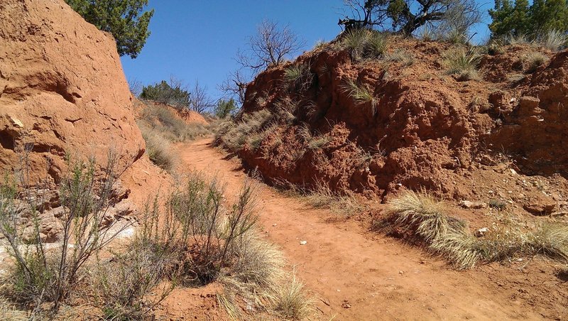 Eagle Point Trail between the canyon walls