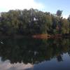 The Barren River from the parking lot