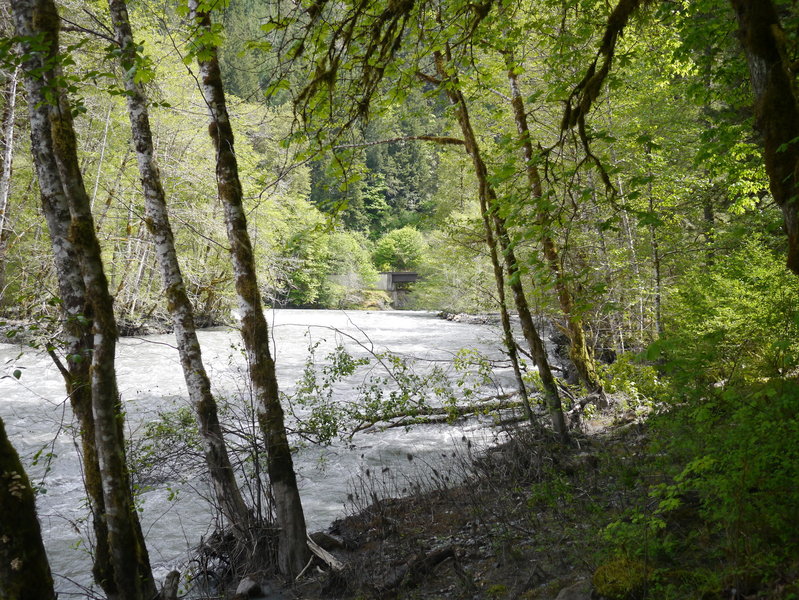 The Elwah River full of silty water (Photo by bensonk42)