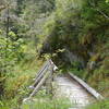 The West Elwah Trail crosses several side creeks along the way (Photo by bensonk42)