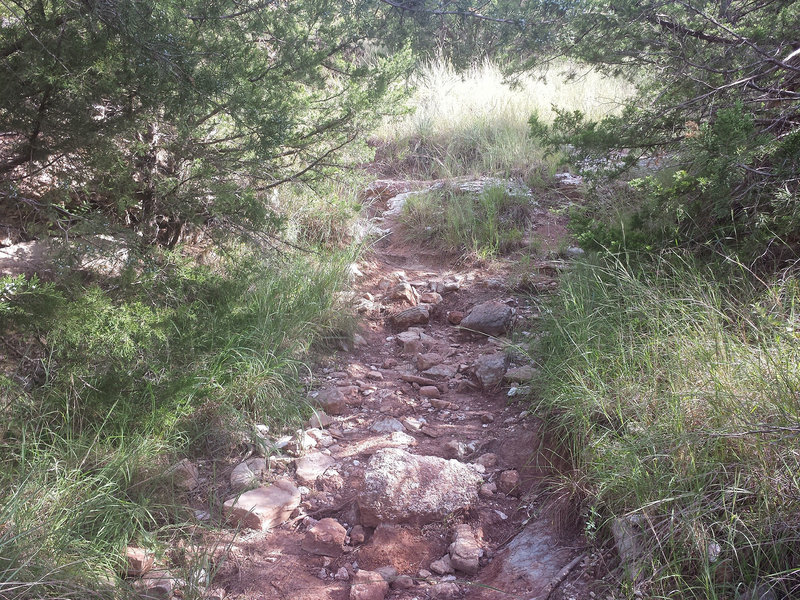 Steep climb or descent on this bypass.