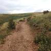 Green Mountain Trail is a slightly bumpy trail heading up the mountain