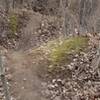 Hilly section of trail