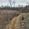 A bit different terrain from the rest of the park - on the Saw Wee Kee Trail