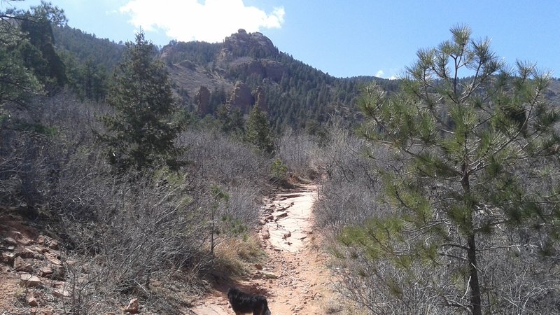 No shade. Great when it's cold. Not so much when it's hot.  On the Palmer Trail.