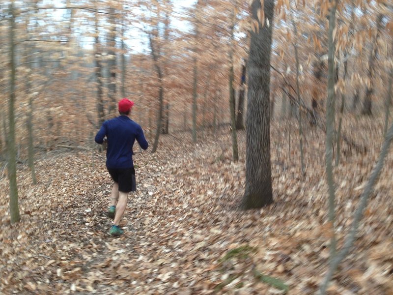 Taking on the Buffalo Creek Trail