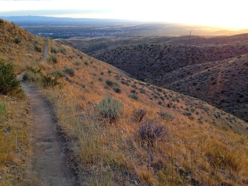 A smooth mellow section at the top of Three Bears Trail; looking West (downhill).