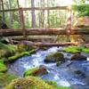 Lake Angeles Trail bridge over bubbled water