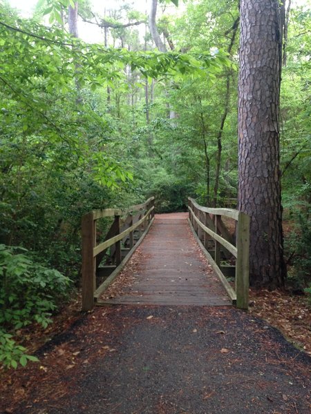 Entrance to the singletrack