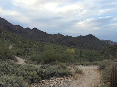 Gateway Loop Trail Hiking Trail, Fountain Hills, Arizona