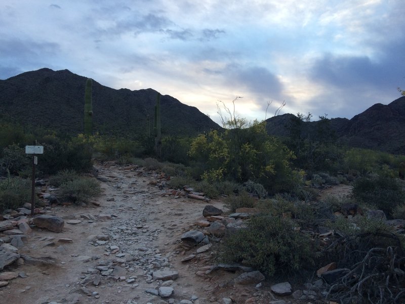 Looking up at Bell Pass at Sunrise