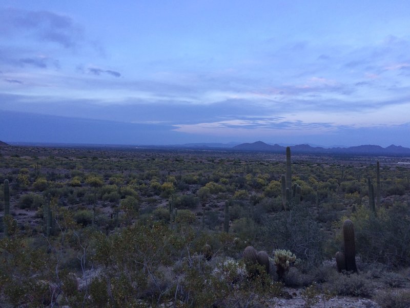 Camelback from afar