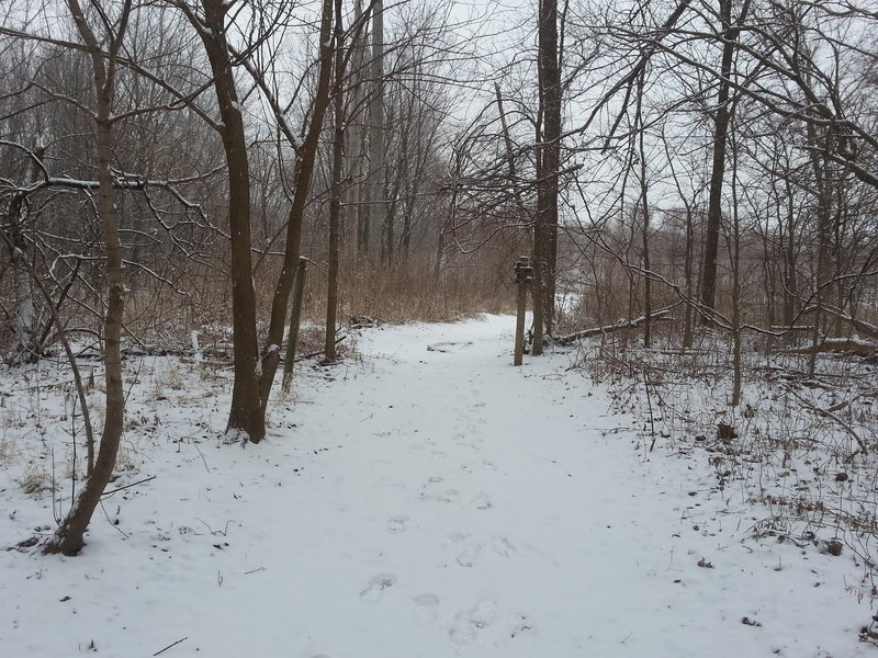 Winter view of turn near Davis Ferry Park entrance/intersection looking east.  Wabash Heritage Trail - Northern section