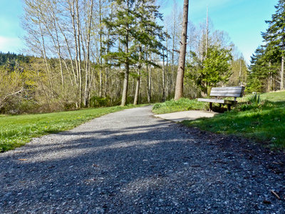 Flat crushed gravel section of the Lake Padden Loop.