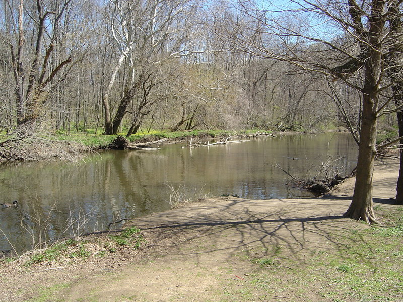 Typical Pennypack trail.