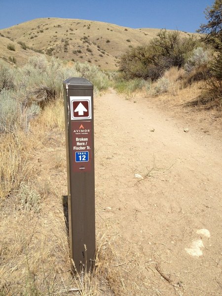 Beginning of singletrack coming up Broken Horn Rd from Hidden Springs Community