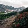 The Path - Grays Peak Trail