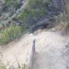 Tight switchbacks punctuate the steady climb on the Sam Merrill Trail.