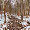 Mammoth Cave National Park