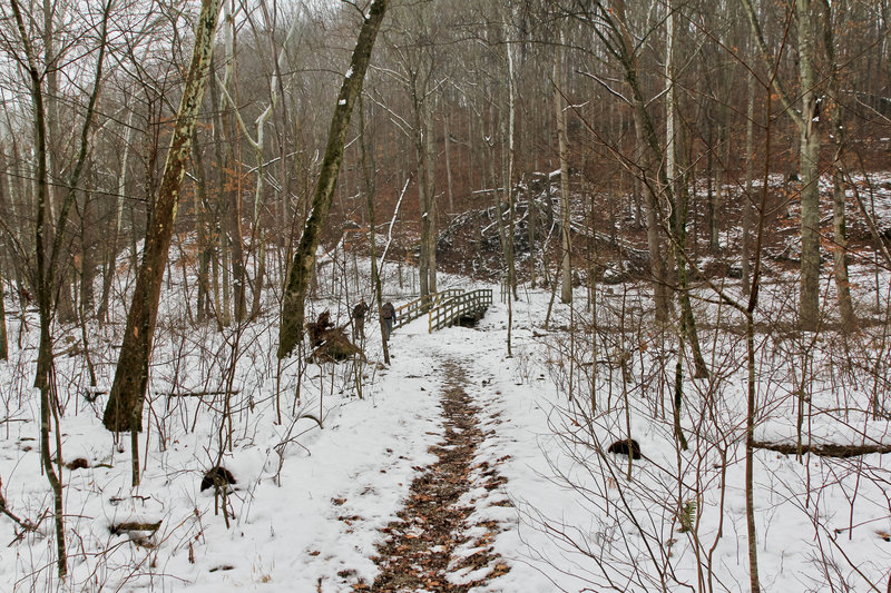 After crossing the Mill Brook - on the Mill Branch Trail