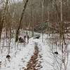 After crossing the Mill Brook - on the Mill Branch Trail