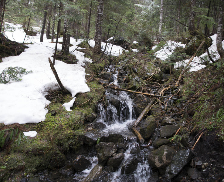 Streamin on the 22 Creek