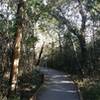 Part of the nature trail close to the park service building is decking material / boardwalk.