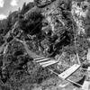 The Klettersteig route takes you over this nice little bridge!