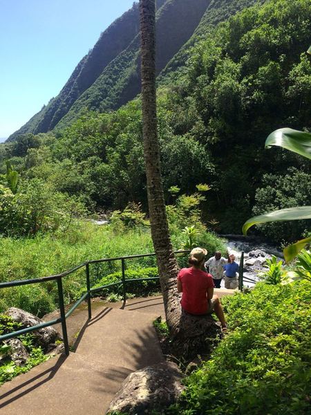 Nice palm seat on the Streamside Trail